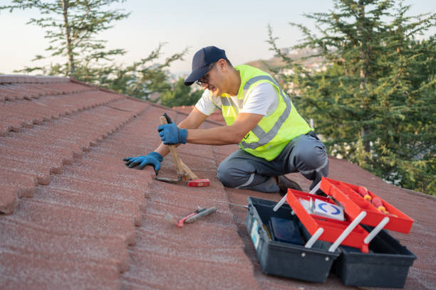 Sealant for Roof in Placerville, CA